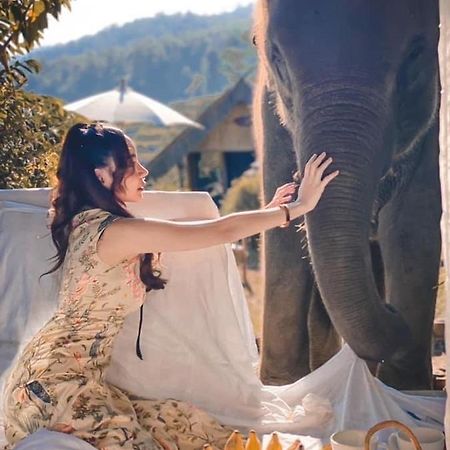 3 Pok Maewang Jinxiang Gold Elephant Park Mae Wang Экстерьер фото