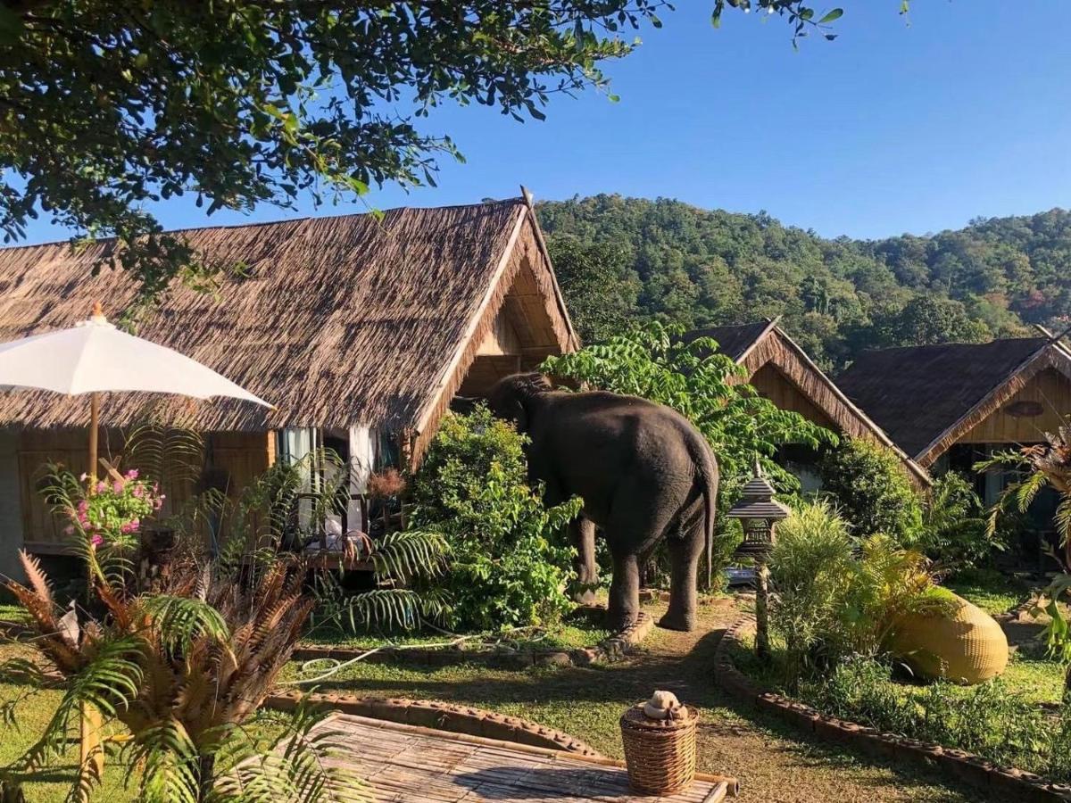 3 Pok Maewang Jinxiang Gold Elephant Park Mae Wang Экстерьер фото