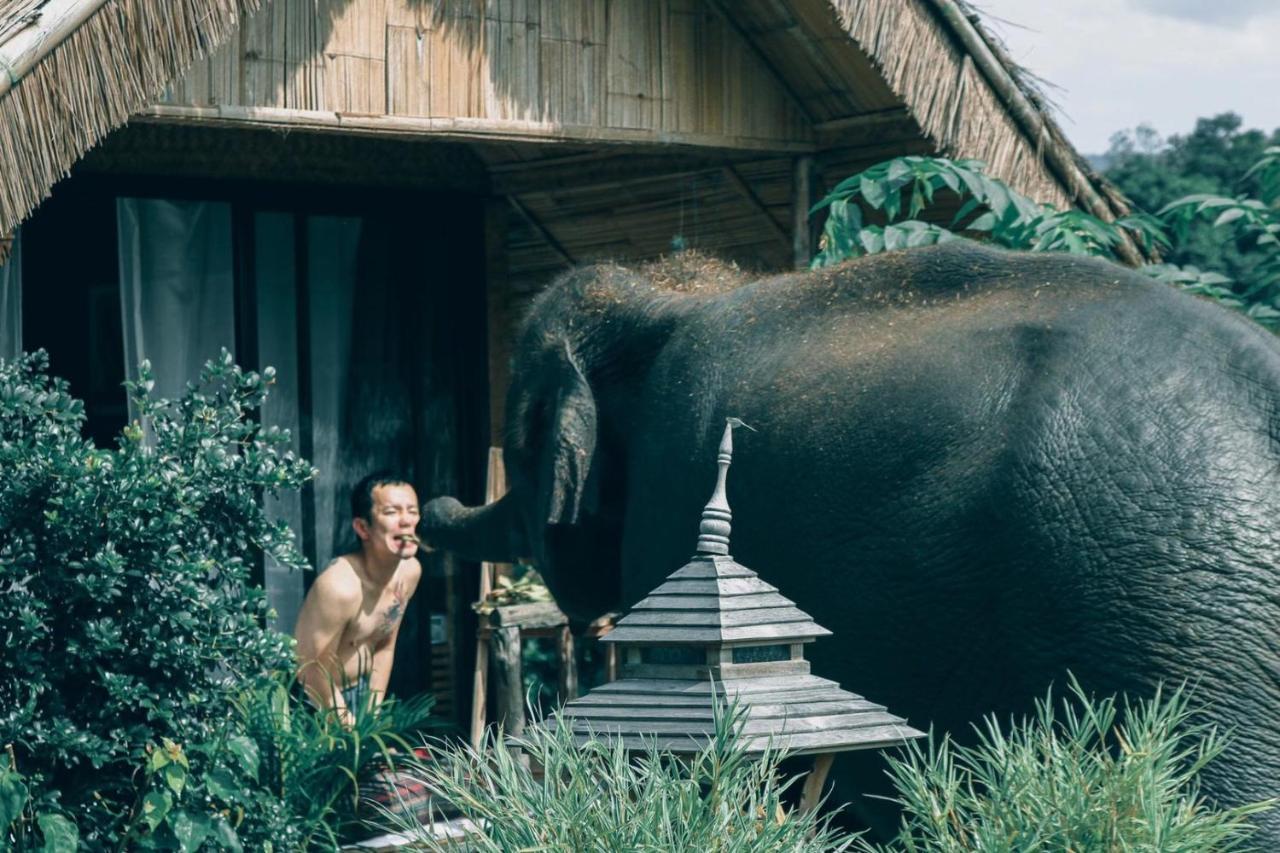 3 Pok Maewang Jinxiang Gold Elephant Park Mae Wang Экстерьер фото