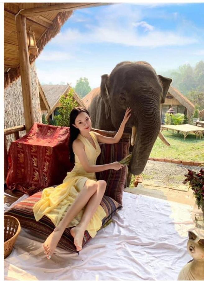 3 Pok Maewang Jinxiang Gold Elephant Park Mae Wang Экстерьер фото