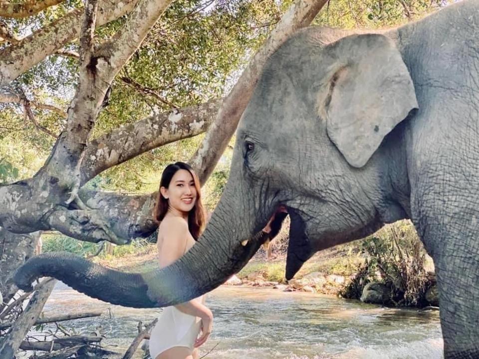 3 Pok Maewang Jinxiang Gold Elephant Park Mae Wang Экстерьер фото