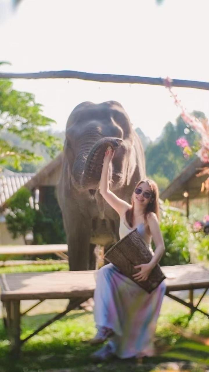 3 Pok Maewang Jinxiang Gold Elephant Park Mae Wang Экстерьер фото