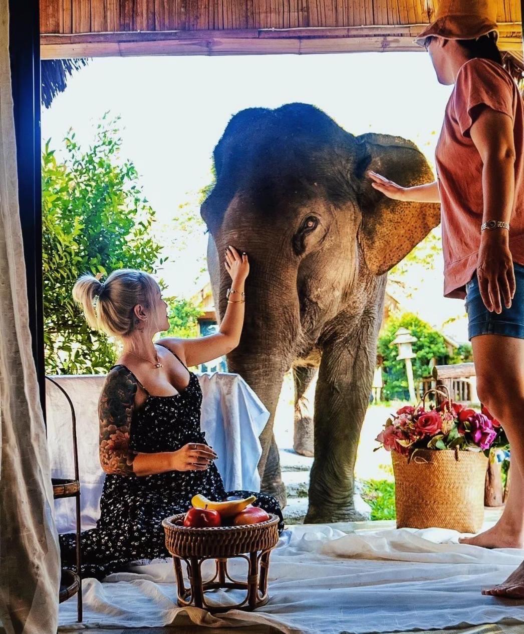 3 Pok Maewang Jinxiang Gold Elephant Park Mae Wang Экстерьер фото