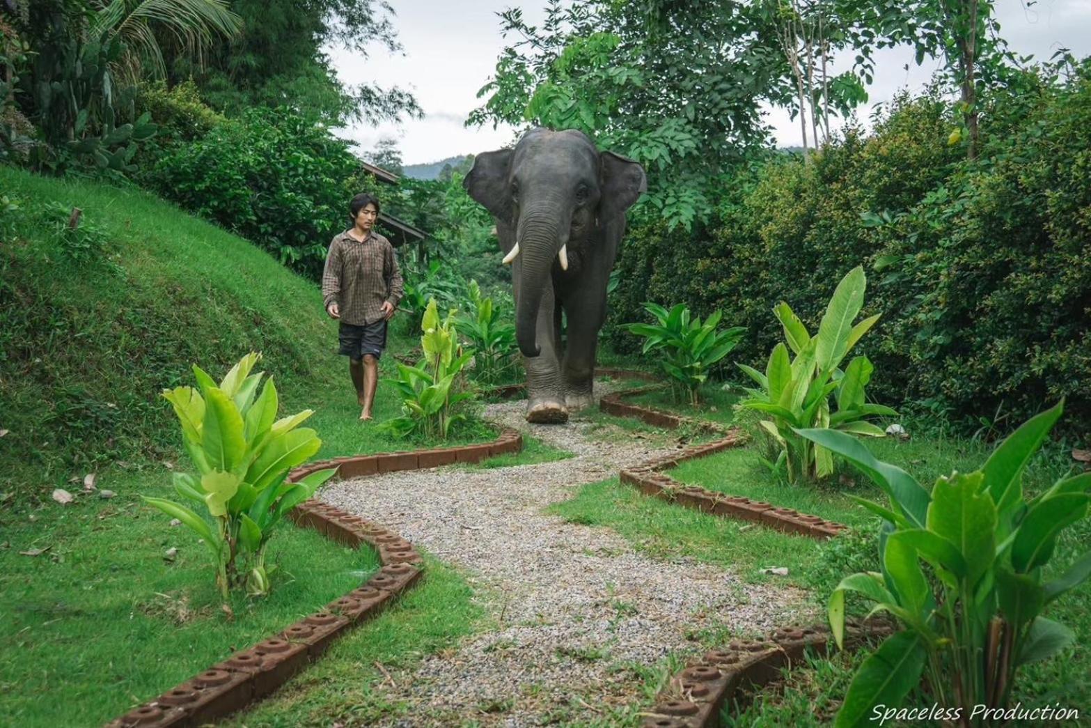 3 Pok Maewang Jinxiang Gold Elephant Park Mae Wang Экстерьер фото