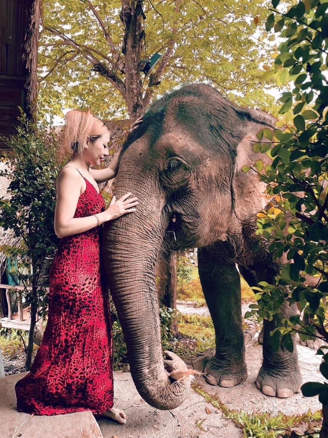 3 Pok Maewang Jinxiang Gold Elephant Park Mae Wang Экстерьер фото