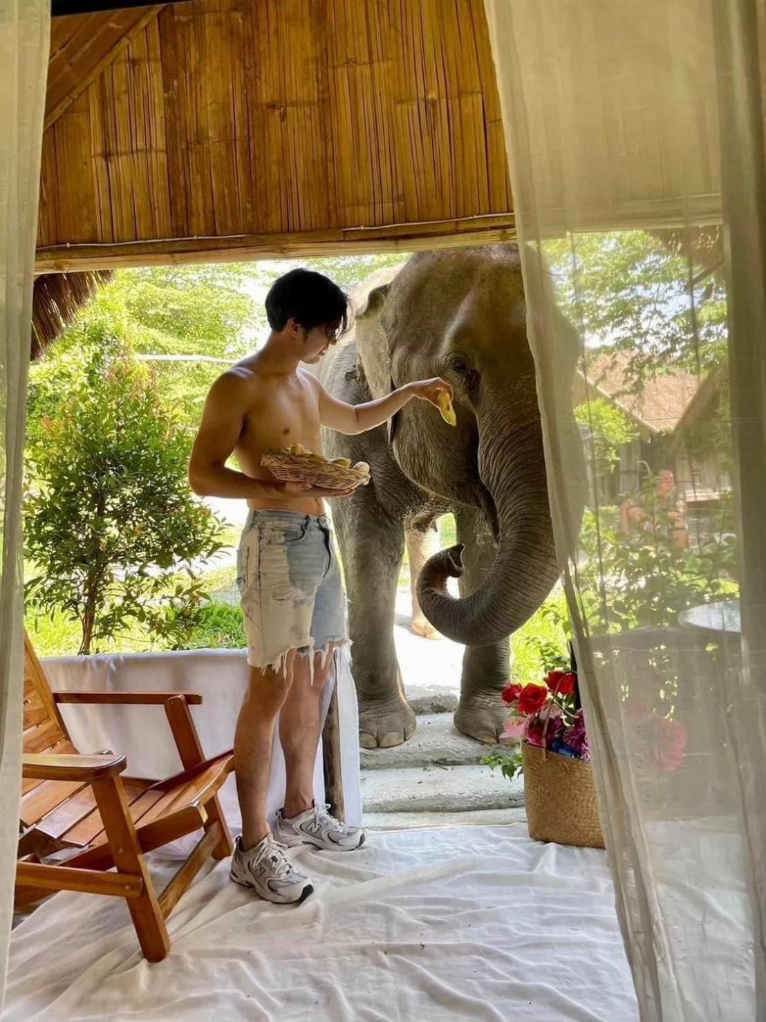 3 Pok Maewang Jinxiang Gold Elephant Park Mae Wang Экстерьер фото
