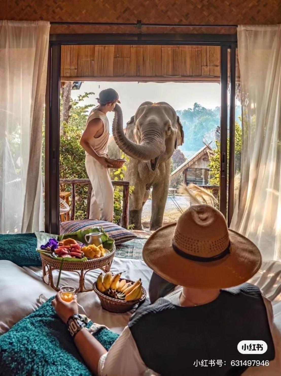 3 Pok Maewang Jinxiang Gold Elephant Park Mae Wang Экстерьер фото
