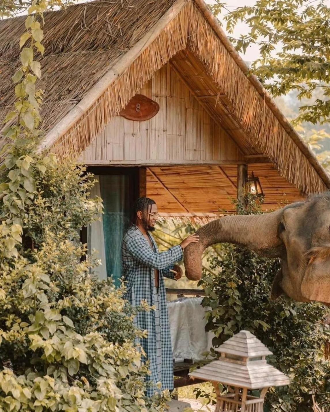 3 Pok Maewang Jinxiang Gold Elephant Park Mae Wang Экстерьер фото