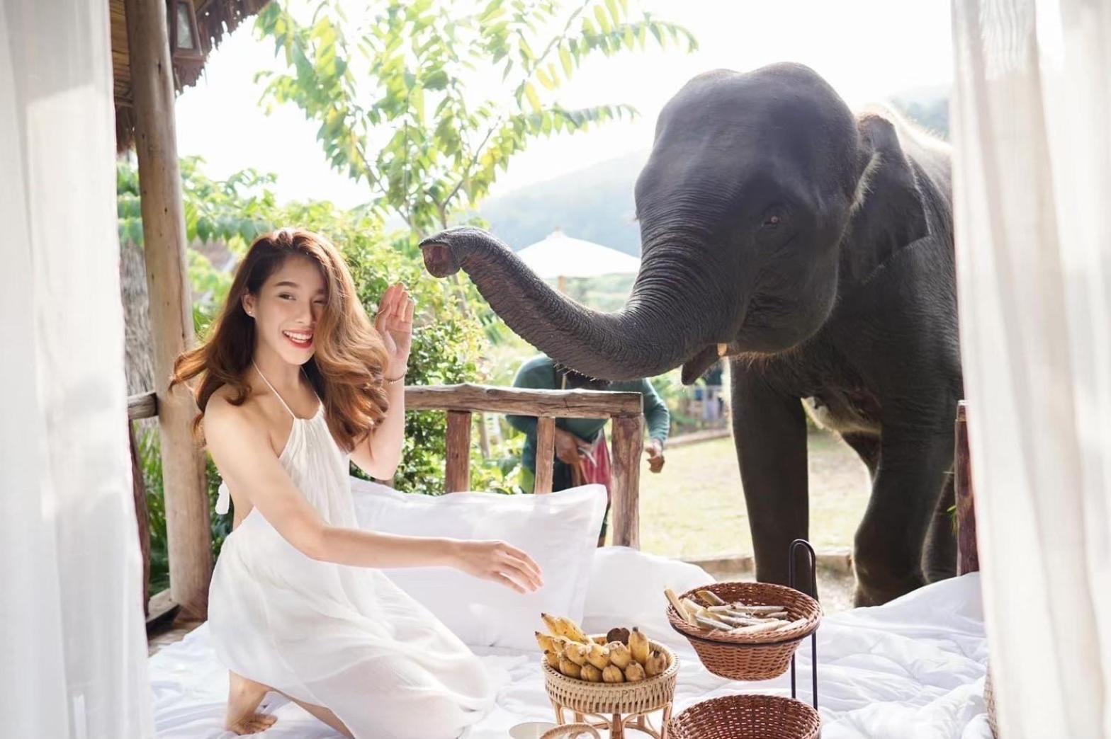 3 Pok Maewang Jinxiang Gold Elephant Park Mae Wang Экстерьер фото